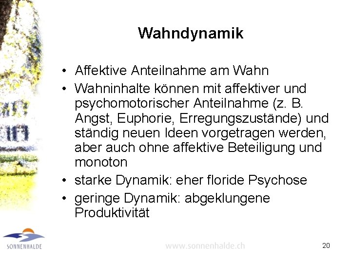 Wahndynamik • Affektive Anteilnahme am Wahn • Wahninhalte können mit affektiver und psychomotorischer Anteilnahme