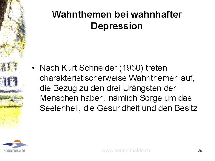 Wahnthemen bei wahnhafter Depression • Nach Kurt Schneider (1950) treten charakteristischerweise Wahnthemen auf, die