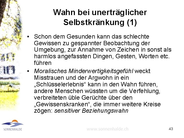 Wahn bei unerträglicher Selbstkränkung (1) • Schon dem Gesunden kann das schlechte Gewissen zu