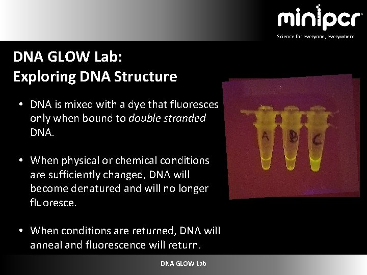 Science for everyone, everywhere DNA GLOW Lab: Exploring DNA Structure • DNA is mixed
