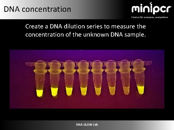 DNA concentration Science for everyone, everywhere Create a DNA dilution series to measure the