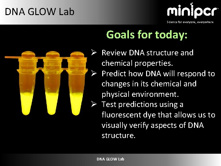 DNA GLOW Lab Science for everyone, everywhere Goals for today: Ø Review DNA structure
