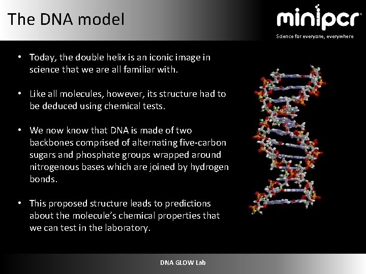 The DNA model Science for everyone, everywhere • Today, the double helix is an