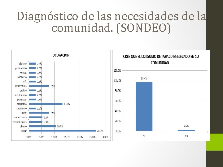 Diagnóstico de las necesidades de la comunidad. (SONDEO) 