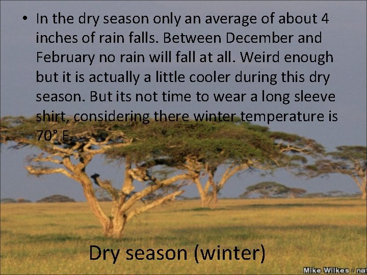  • In the dry season only an average of about 4 inches of