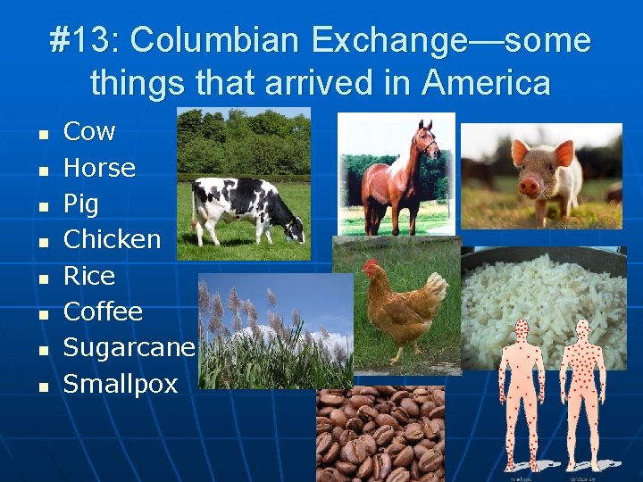 #13: Columbian Exchange—some things that arrived in America n n n n Cow Horse