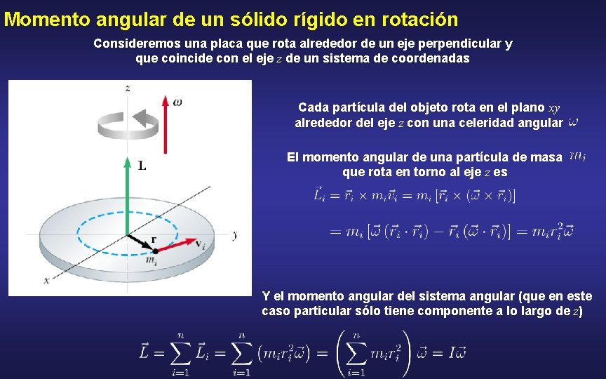 Momento angular de un sólido rígido en rotación Consideremos una placa que rota alrededor