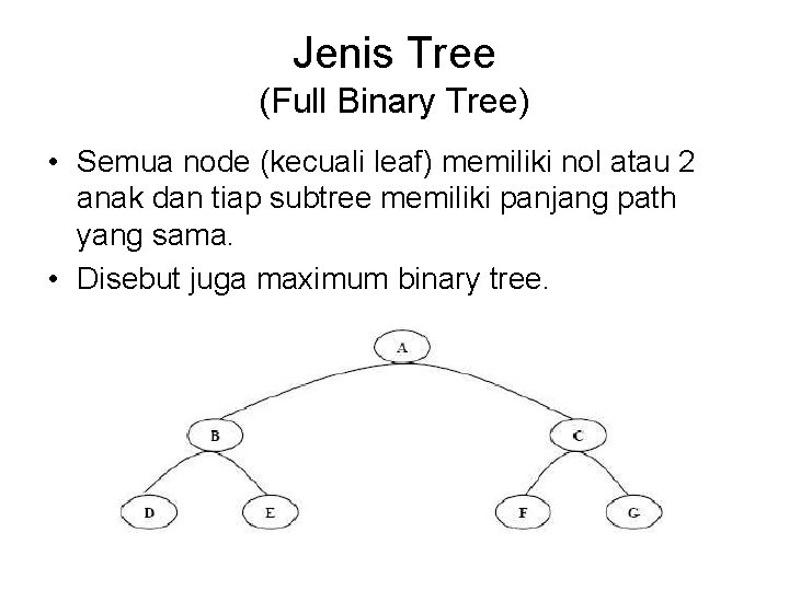 Jenis Tree (Full Binary Tree) • Semua node (kecuali leaf) memiliki nol atau 2