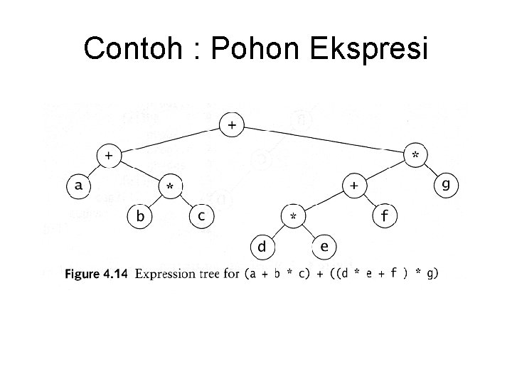 Contoh : Pohon Ekspresi 