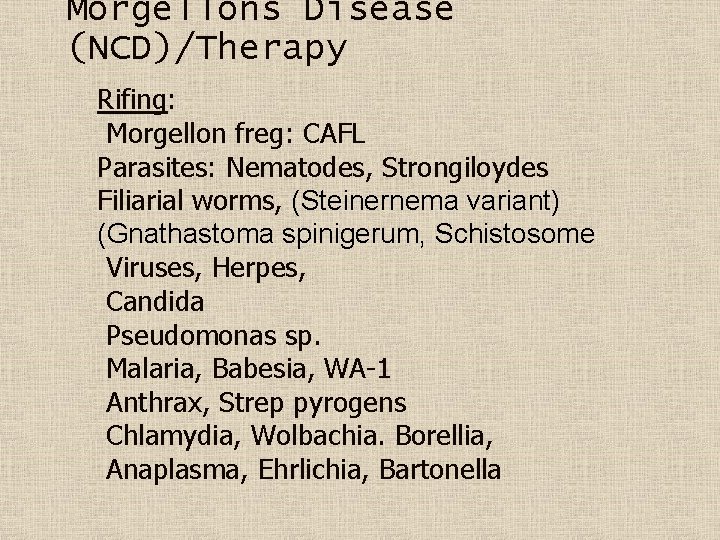 Morgellons Disease (NCD)/Therapy Rifing: Morgellon freg: CAFL Parasites: Nematodes, Strongiloydes Filiarial worms, (Steinernema variant)