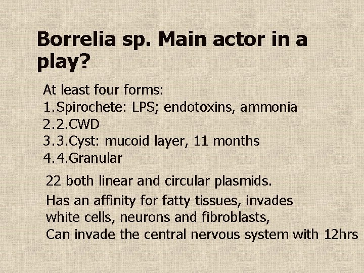 Borrelia sp. Main actor in a play? At least four forms: 1. Spirochete: LPS;