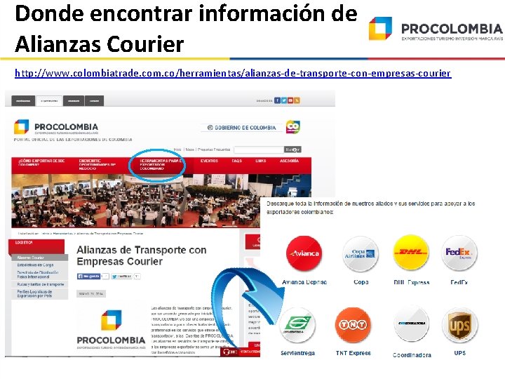 Donde encontrar información de Alianzas Courier http: //www. colombiatrade. com. co/herramientas/alianzas-de-transporte-con-empresas-courier 