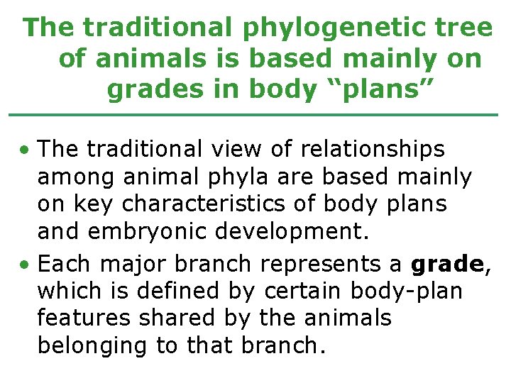 The traditional phylogenetic tree of animals is based mainly on grades in body “plans”