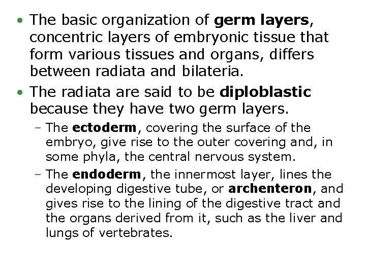  • The basic organization of germ layers, concentric layers of embryonic tissue that