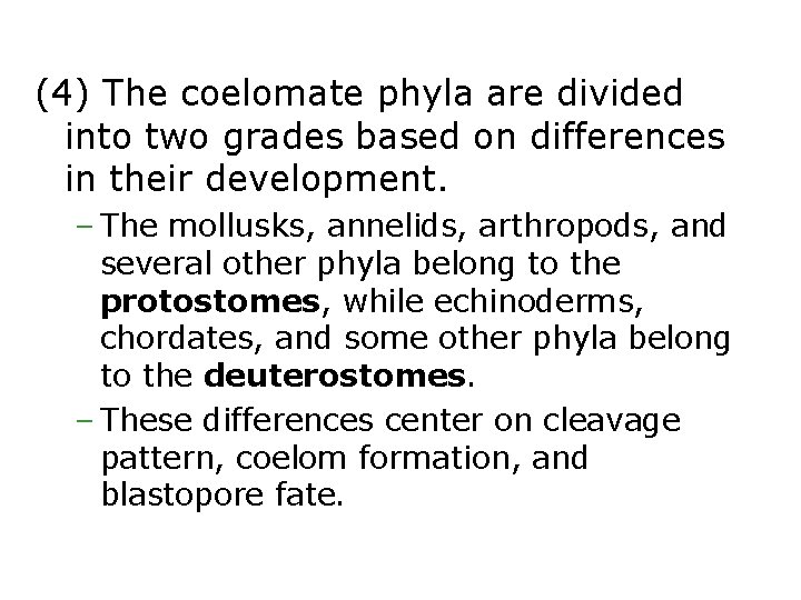 (4) The coelomate phyla are divided into two grades based on differences in their