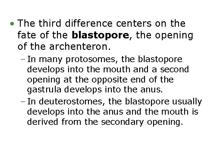  • The third difference centers on the fate of the blastopore, the opening