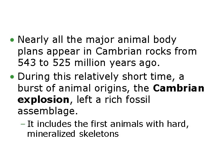  • Nearly all the major animal body plans appear in Cambrian rocks from