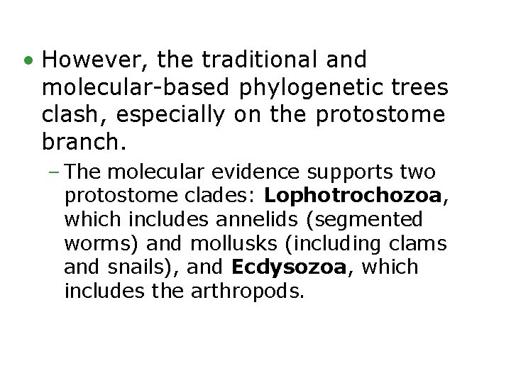  • However, the traditional and molecular-based phylogenetic trees clash, especially on the protostome