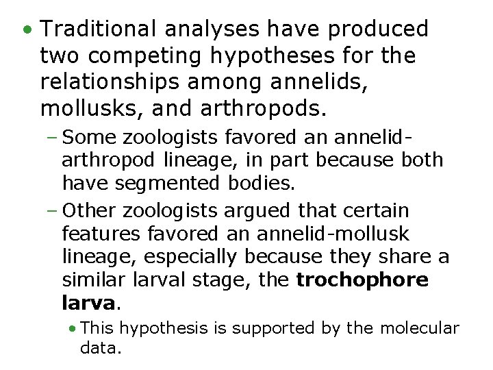  • Traditional analyses have produced two competing hypotheses for the relationships among annelids,