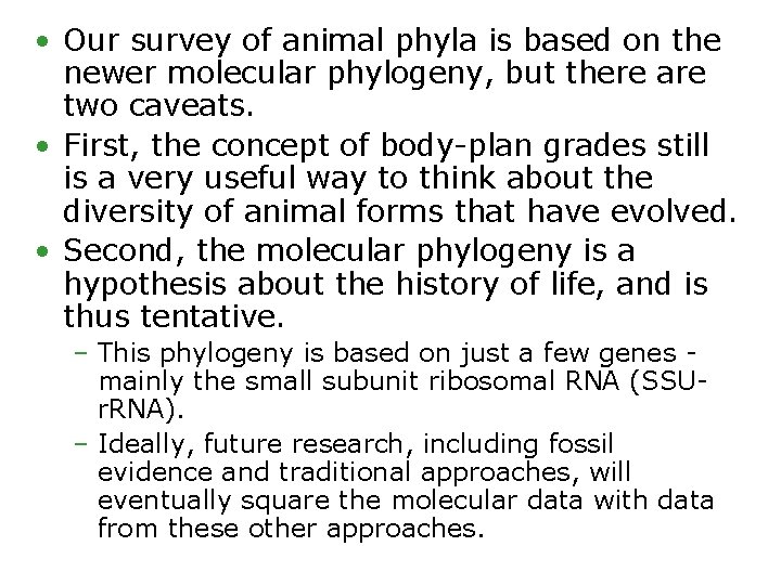  • Our survey of animal phyla is based on the newer molecular phylogeny,