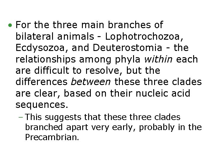  • For the three main branches of bilateral animals - Lophotrochozoa, Ecdysozoa, and