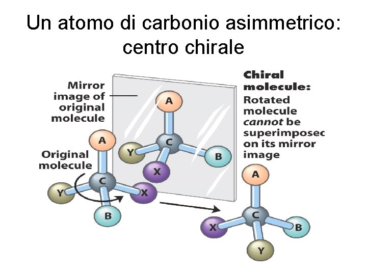 Un atomo di carbonio asimmetrico: centro chirale 