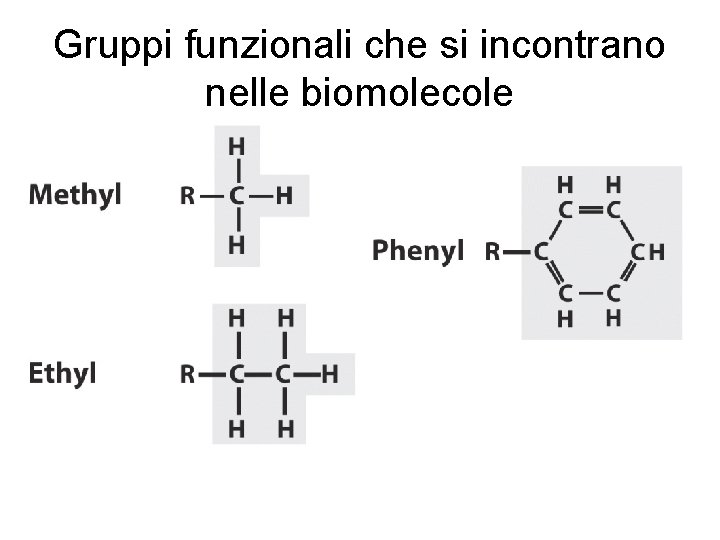 Gruppi funzionali che si incontrano nelle biomolecole 