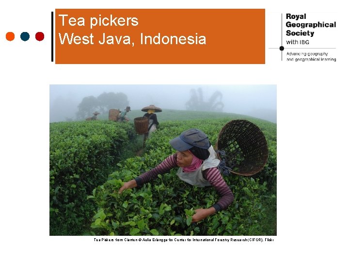 Tea pickers West Java, Indonesia Tea Pickers from Cianten © Aulia Erlangga for Center