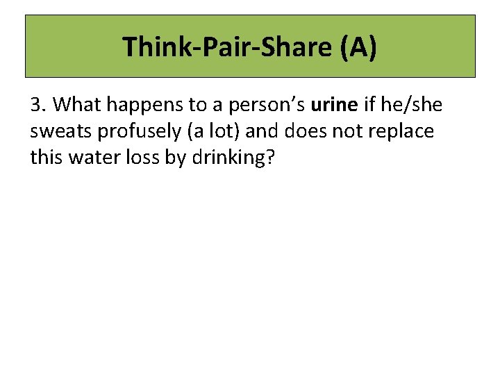 Think-Pair-Share (A) 3. What happens to a person’s urine if he/she sweats profusely (a