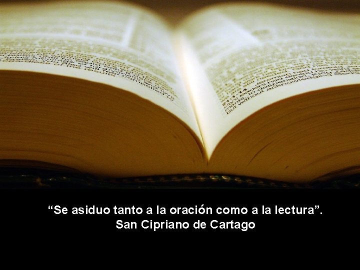 “Se asiduo tanto a la oración como a la lectura”. San Cipriano de Cartago