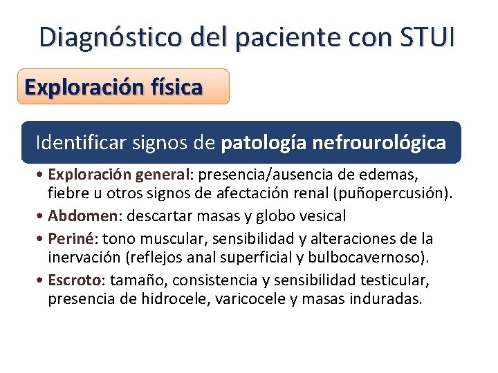 Diagnóstico del paciente con STUI Exploración física Identificar signos de patología nefrourológica • Exploración