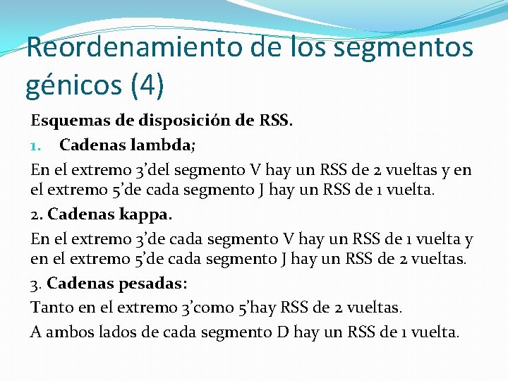 Reordenamiento de los segmentos génicos (4) Esquemas de disposición de RSS. 1. Cadenas lambda;