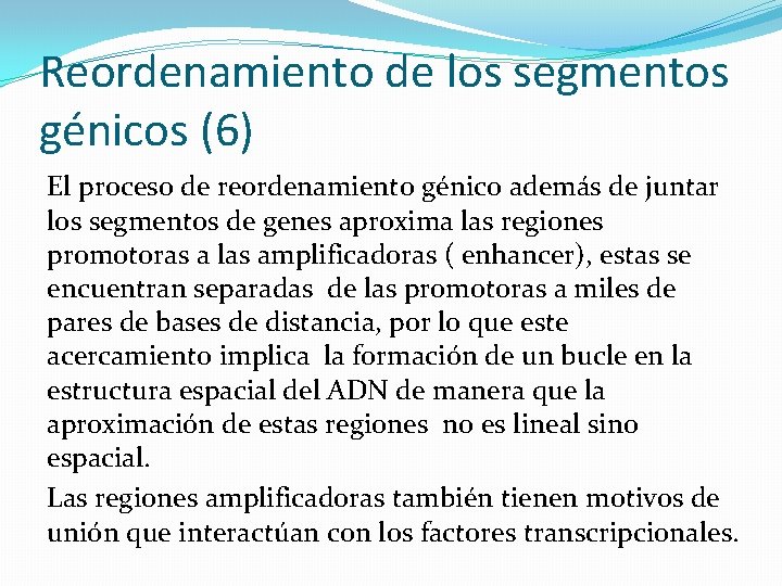 Reordenamiento de los segmentos génicos (6) El proceso de reordenamiento génico además de juntar