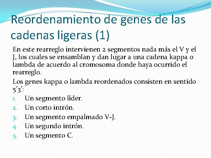 Reordenamiento de genes de las cadenas ligeras (1) En este rearreglo intervienen 2 segmentos