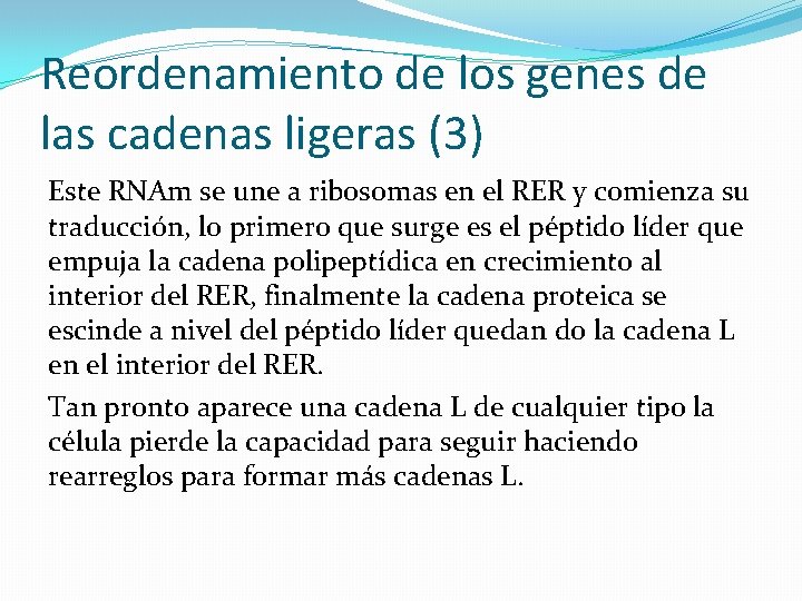 Reordenamiento de los genes de las cadenas ligeras (3) Este RNAm se une a