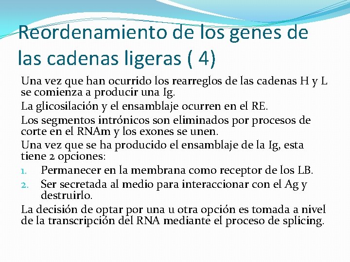 Reordenamiento de los genes de las cadenas ligeras ( 4) Una vez que han