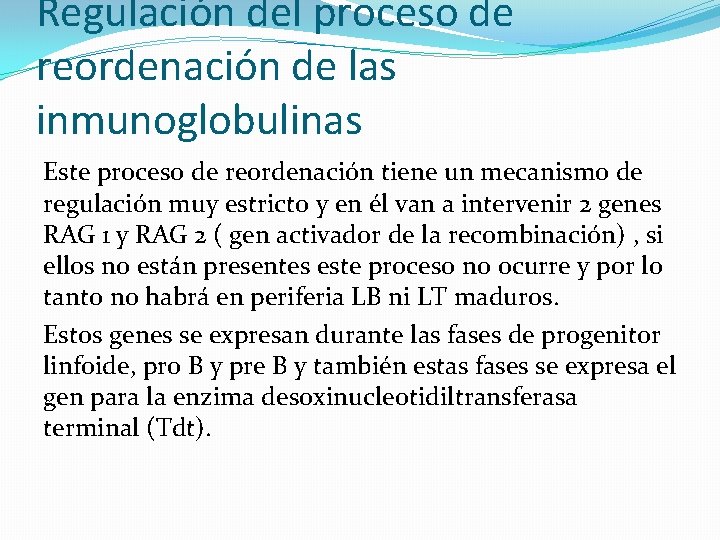 Regulación del proceso de reordenación de las inmunoglobulinas Este proceso de reordenación tiene un