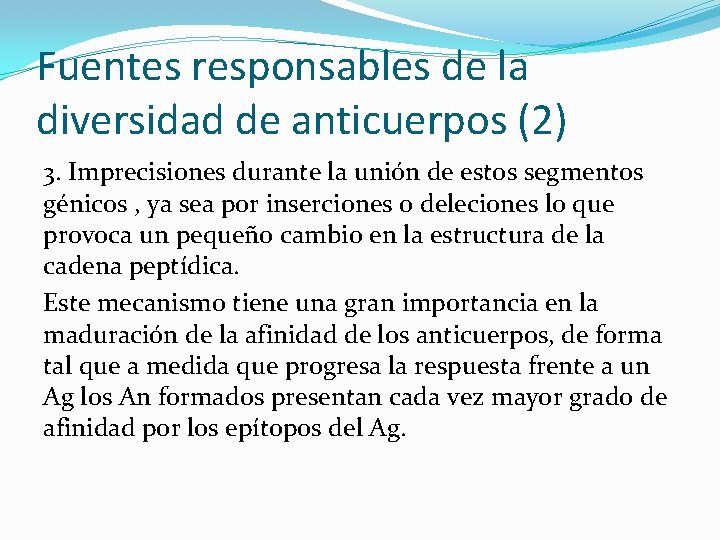 Fuentes responsables de la diversidad de anticuerpos (2) 3. Imprecisiones durante la unión de