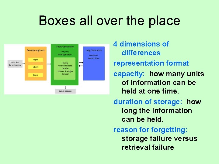 Boxes all over the place 4 dimensions of differences representation format capacity: how many