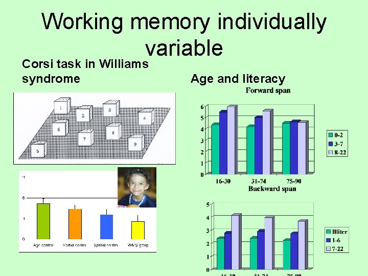 Working memory individually variable Corsi task in Williams syndrome Age and literacy 