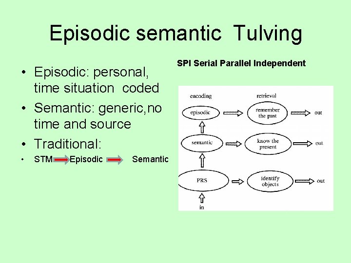 Episodic semantic Tulving • Episodic: personal, time situation coded • Semantic: generic, no time