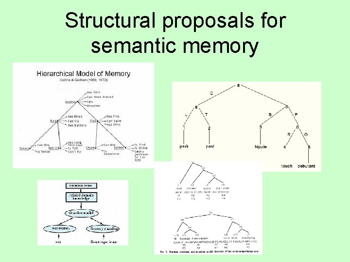 Structural proposals for semantic memory 