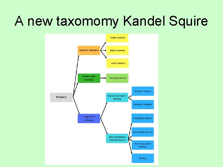 A new taxomomy Kandel Squire 