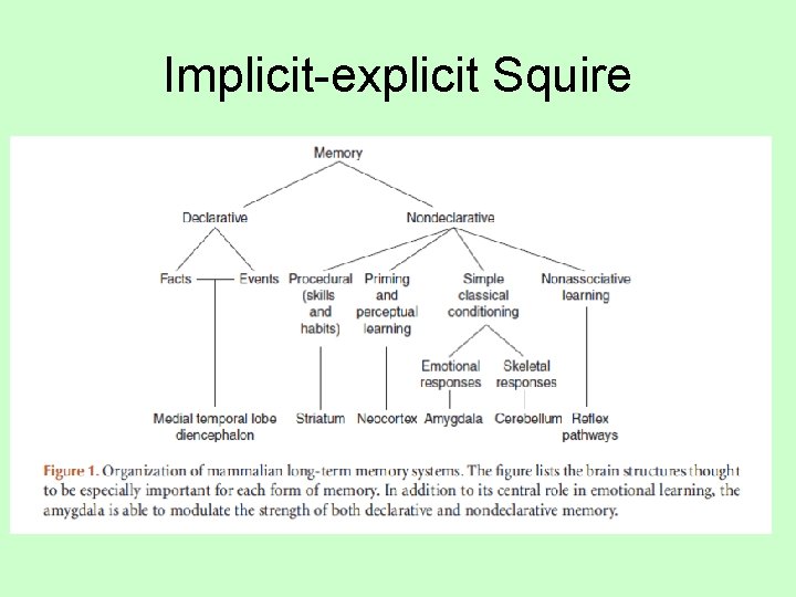Implicit-explicit Squire 