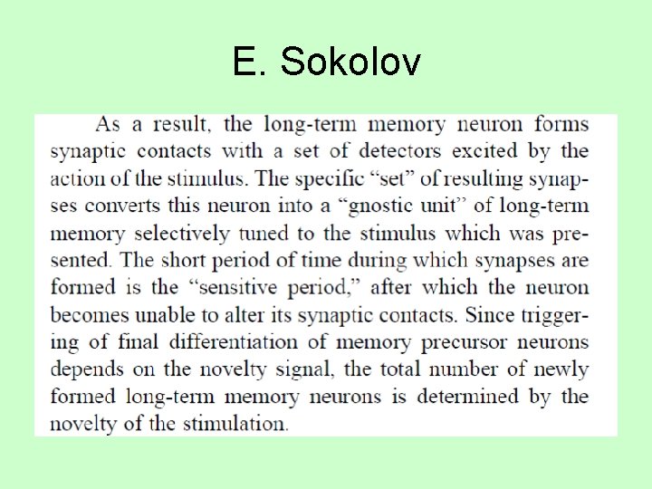 E. Sokolov 