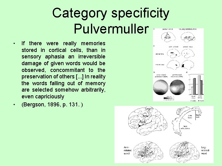 Category specificity Pulvermuller • • If there were really memories stored in cortical cells,