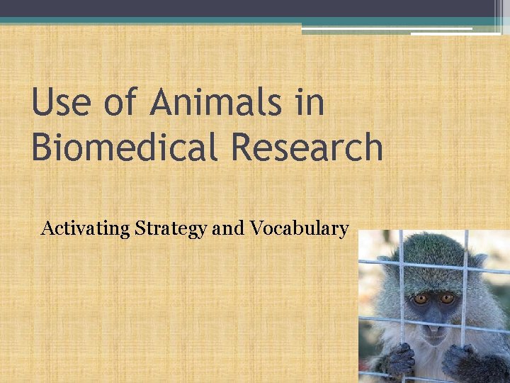 Use of Animals in Biomedical Research Activating Strategy and Vocabulary 