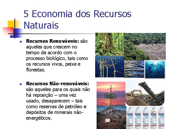 5 Economia dos Recursos Naturais n n Recursos Renováveis: são aqueles que crescem no