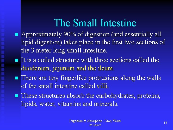 The Small Intestine n n Approximately 90% of digestion (and essentially all lipid digestion)