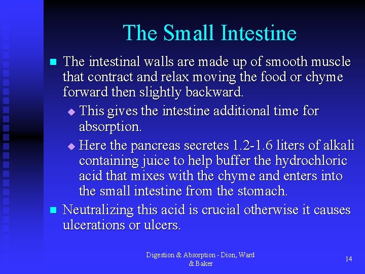 The Small Intestine n n The intestinal walls are made up of smooth muscle